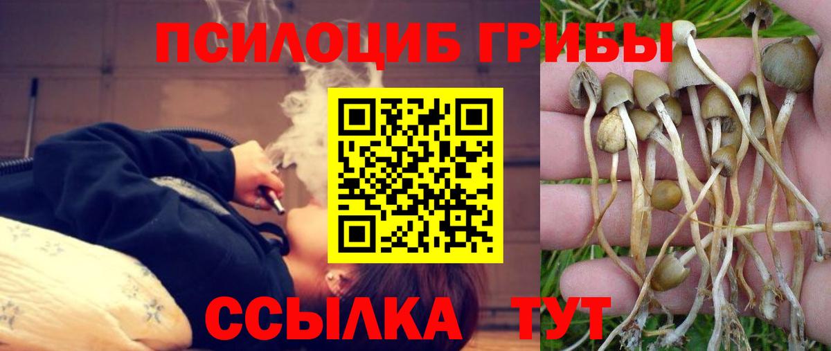 Галлюциногенные грибы Magic Shrooms Сосновоборск