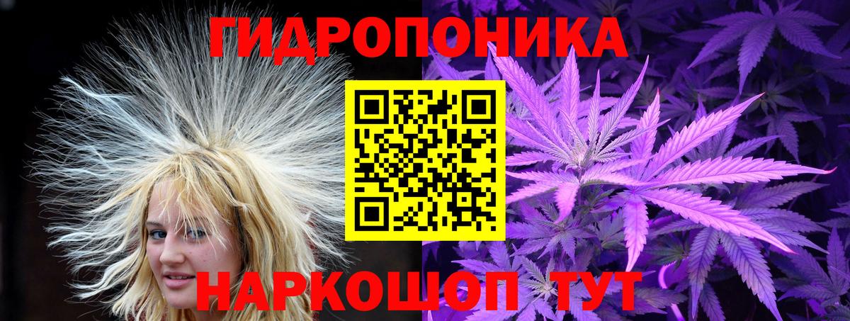 Бошки марихуана MAZAR  Вход с VPN  Сосновоборск  Шишки марихуана план  Бошки марихуана тримм 
